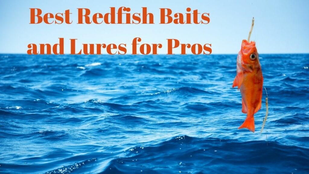 Best Bait For Redfish [2021]: Best Redfish Baits And Lures For Pros 