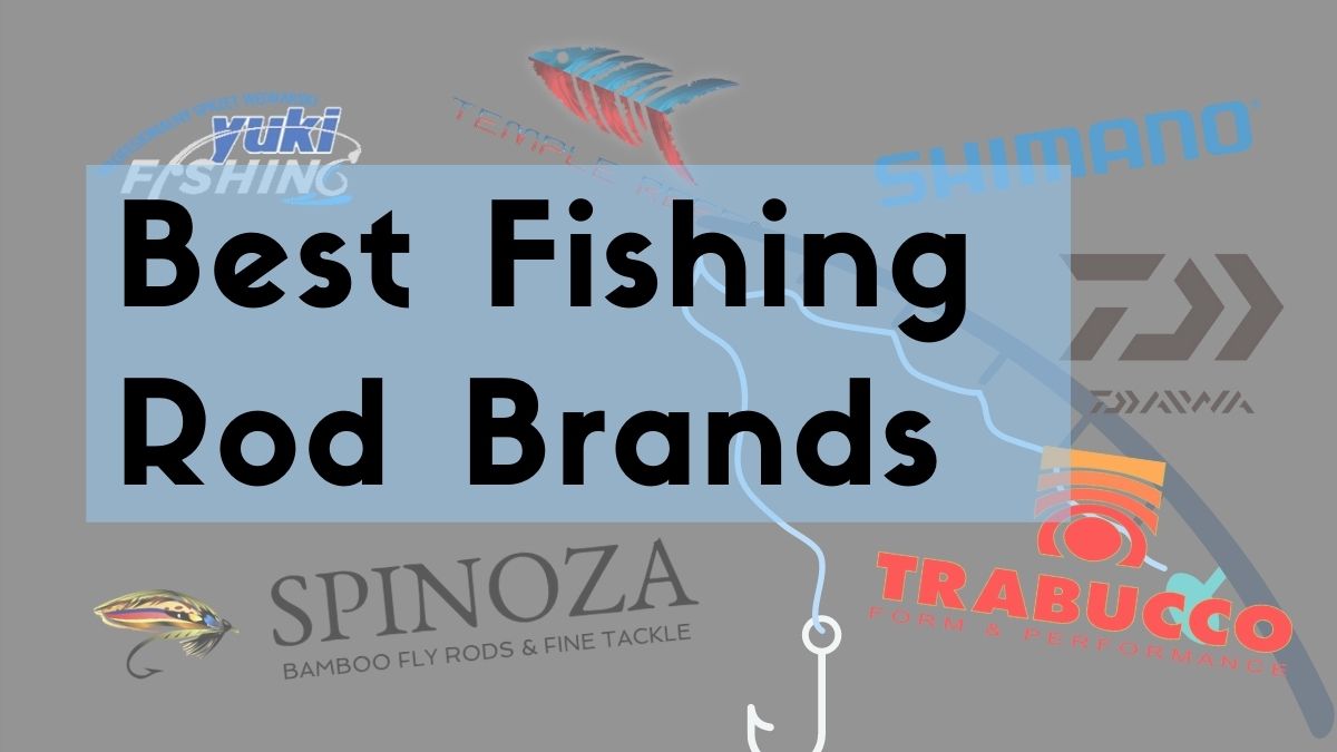 Best Fishing Rod Brands