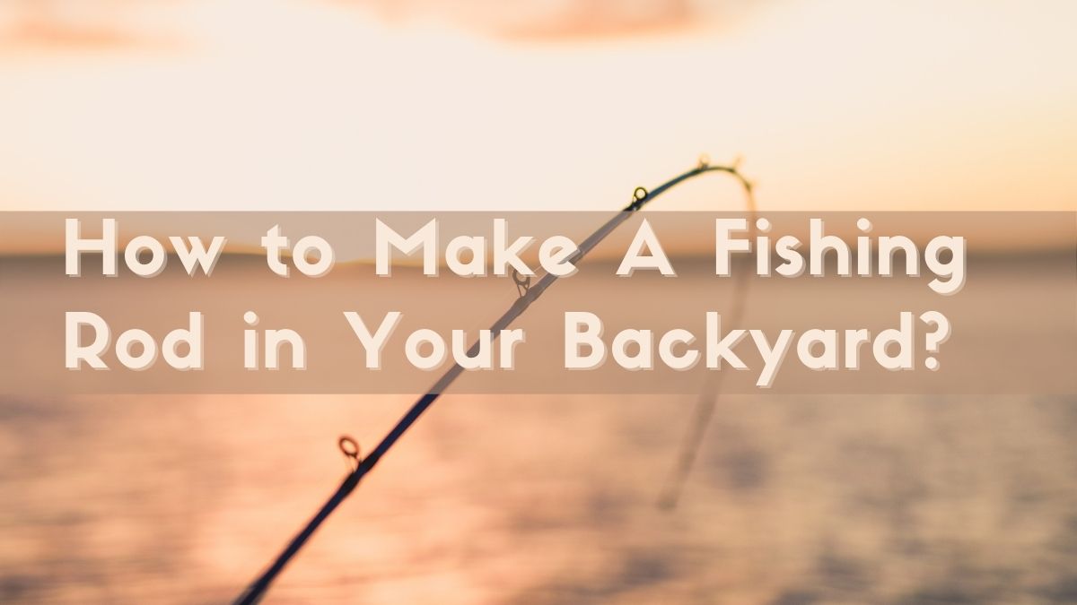 How to Make A Fishing Rod in Your Backyard
