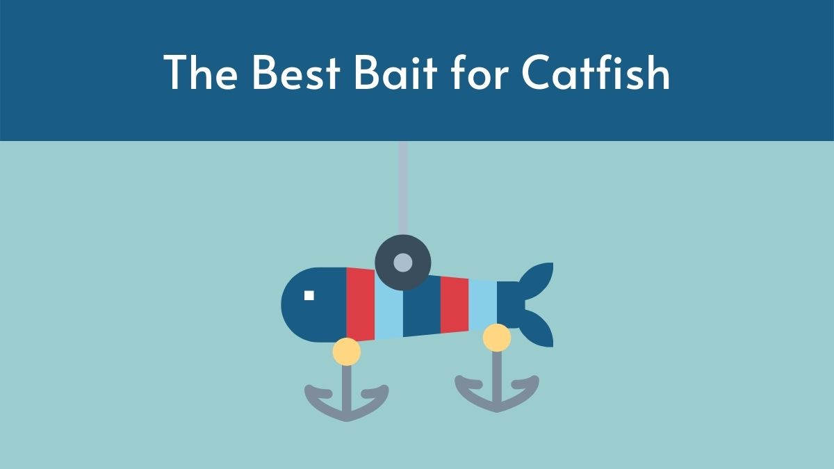 best bait for catfish