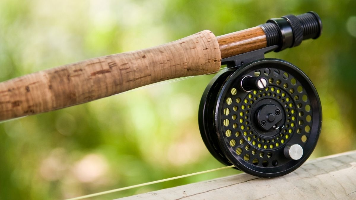 best rod and reel combos