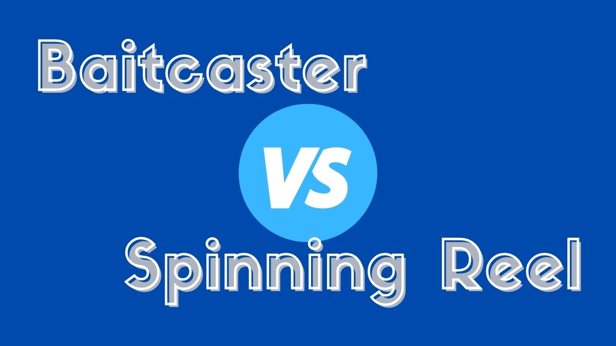 Baitcaster vs. Spinning Reel for Fishing