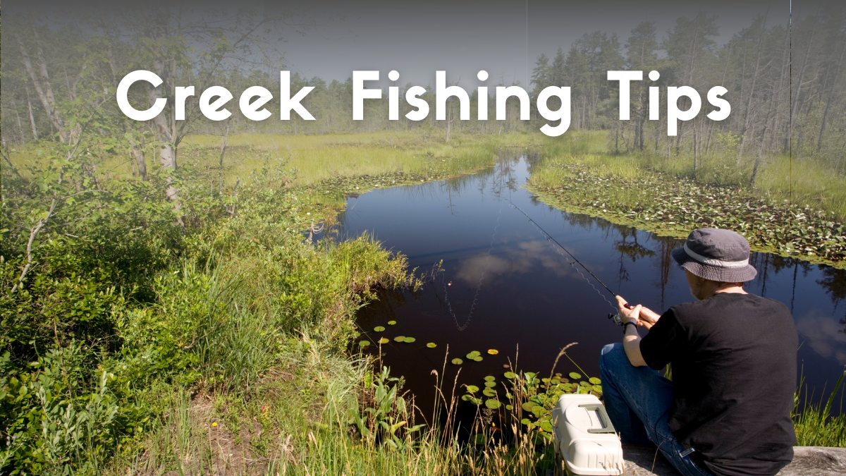 Creek Fishing Tips