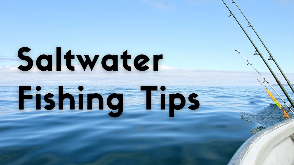 Saltwater Fishing Tips