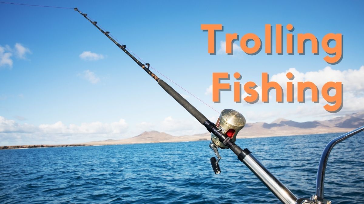 Trolling Fishing