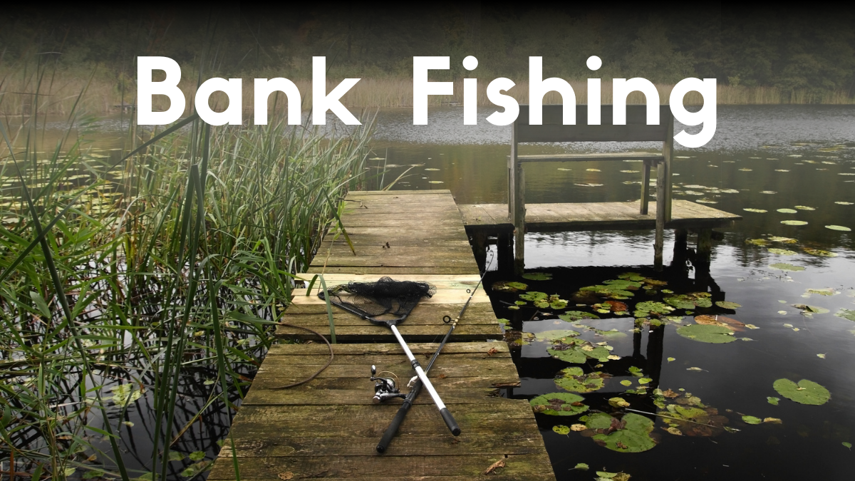Bank Fishing